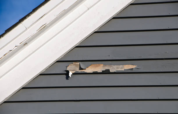 Same-Day Junk Removal Services in Memphis, MO